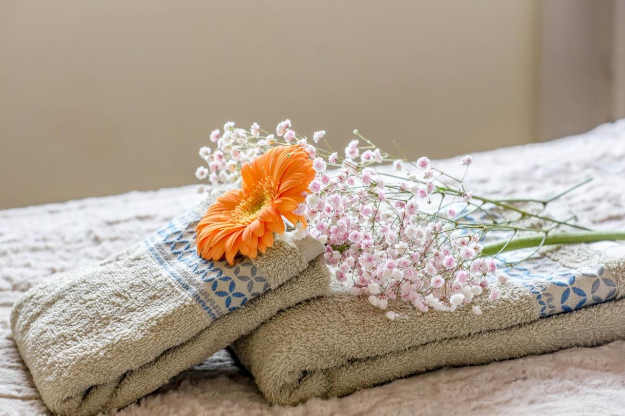 Summer Flower Apartment, Park Albatros, Close To The Ocean,Golf Del Sur San Miguel de Abona Dış mekan fotoğraf